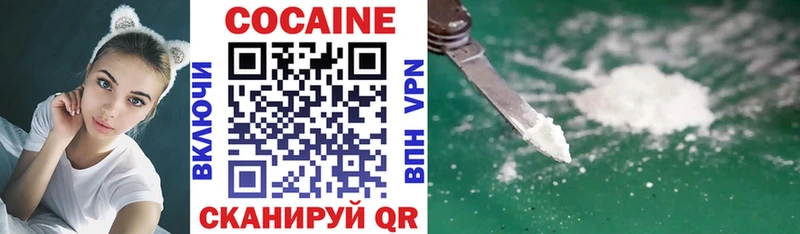 Купить закладки  Усть-Джегута  COCAIN 98% 