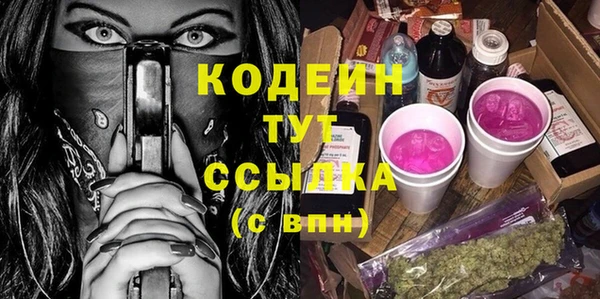 индика Касимов