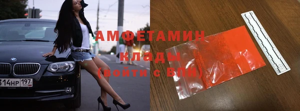 индика Касимов