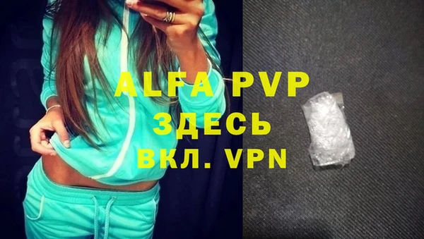 индика Касимов