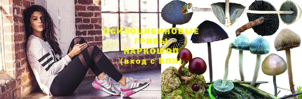 индика Касимов