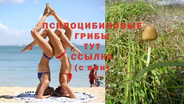 первитин Карталы
