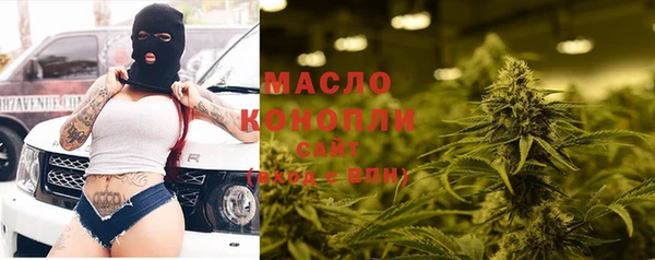 индика Касимов