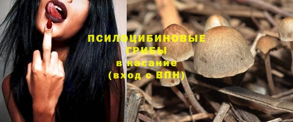 соль ск Каменск-Шахтинский